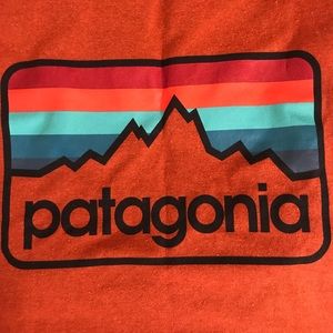 Patagonia tshirt